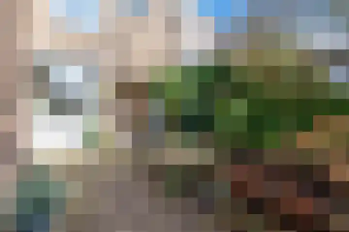 Bierbrouwershorst 312 Apeldoorn thumbnail 39