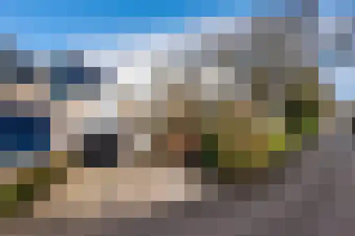 Bierbrouwershorst 312 Apeldoorn thumbnail 40