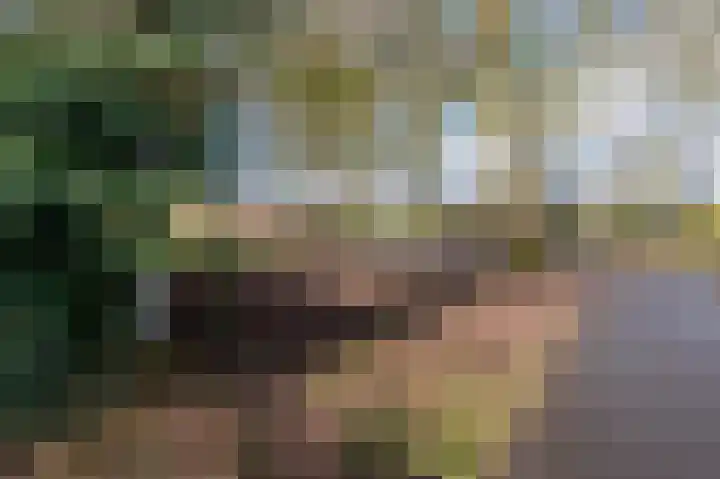 Bierbrouwershorst 312 Apeldoorn thumbnail 41