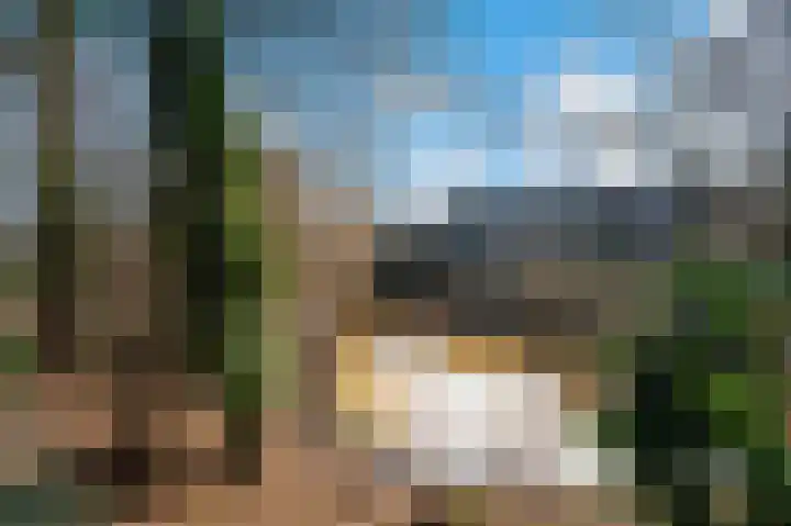 Bierbrouwershorst 312 Apeldoorn thumbnail 42