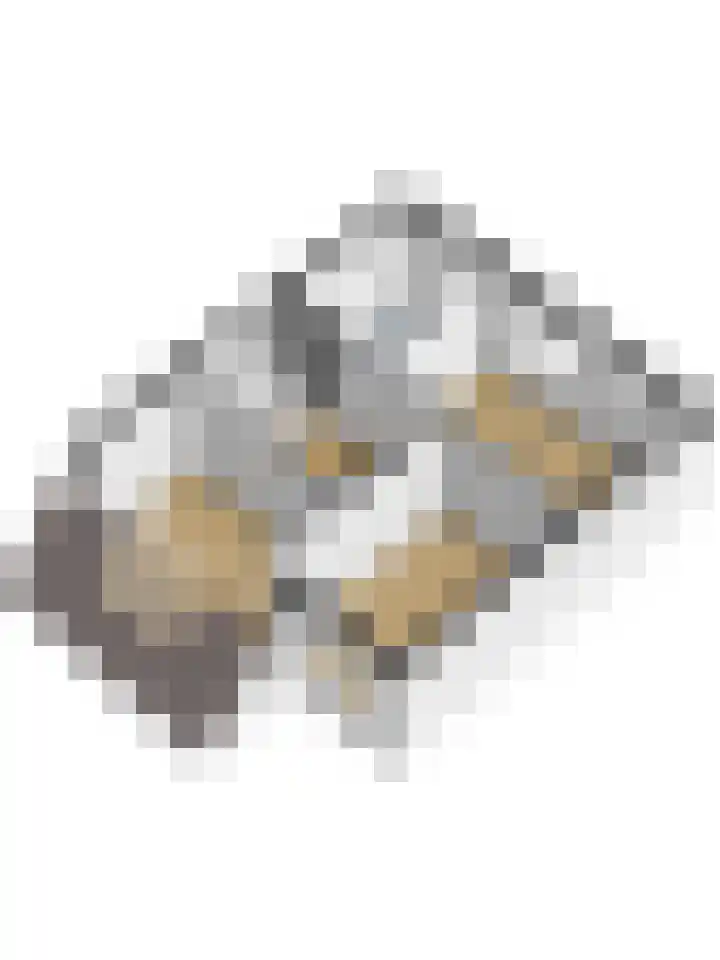 Bierbrouwershorst 312 Apeldoorn thumbnail 46