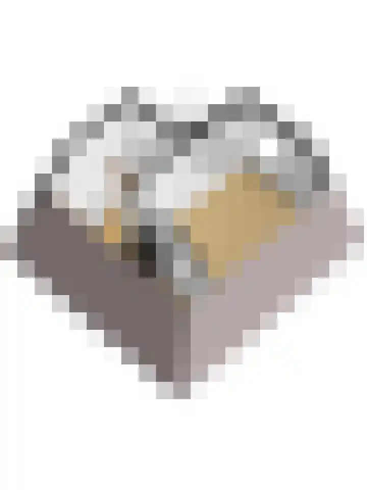 Bierbrouwershorst 312 Apeldoorn thumbnail 48
