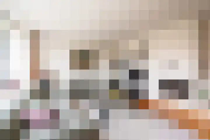 Bierbrouwershorst 312 Apeldoorn thumbnail 6