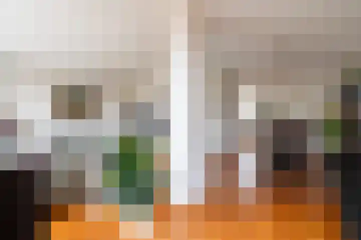 Bierbrouwershorst 312 Apeldoorn thumbnail 7