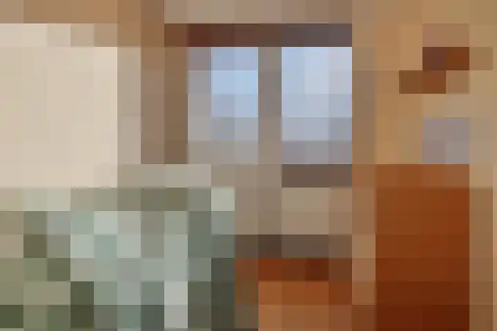 Bierbrouwershorst 507 Apeldoorn thumbnail 19