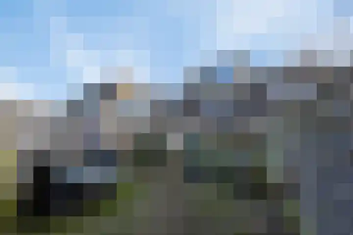 Bierbrouwershorst 507 Apeldoorn thumbnail 30