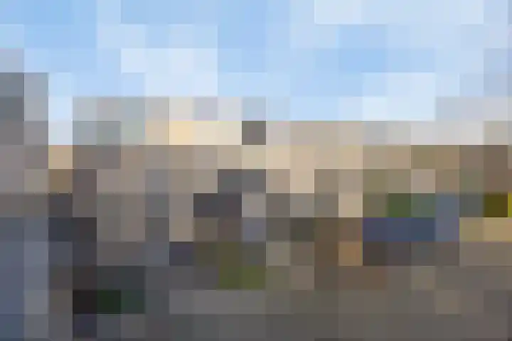 Bierbrouwershorst 507 Apeldoorn thumbnail 32