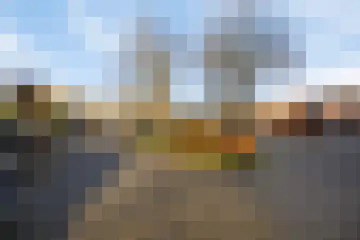 Bierbrouwershorst 507 Apeldoorn thumbnail 33