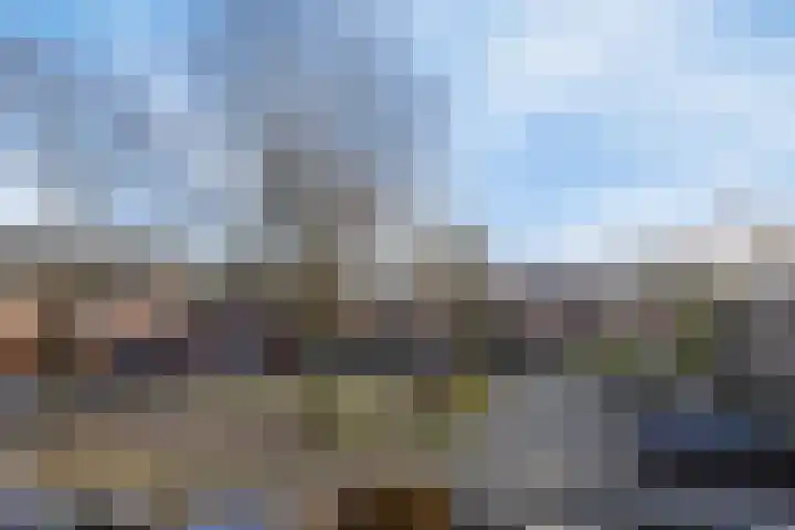 Bierbrouwershorst 507 Apeldoorn thumbnail 36