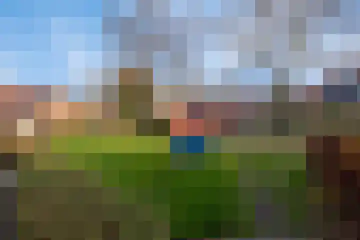 Bierbrouwershorst 507 Apeldoorn thumbnail 37