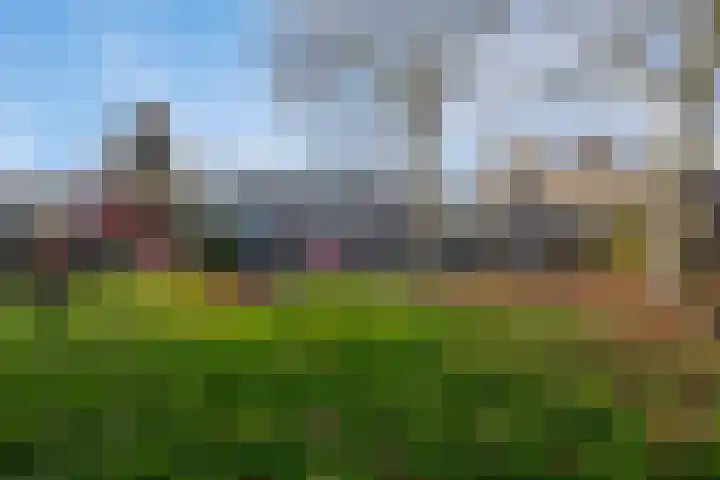 Bierbrouwershorst 507 Apeldoorn thumbnail 38
