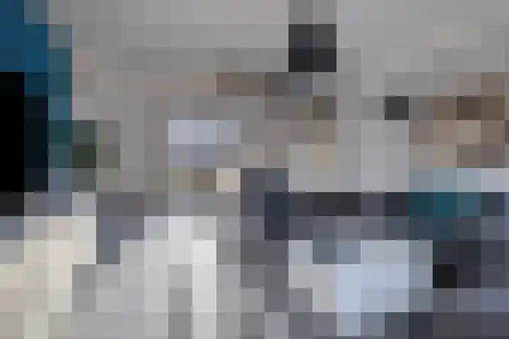 Bierbrouwershorst 507 Apeldoorn thumbnail 7