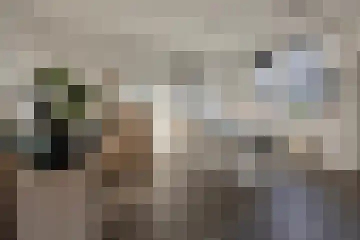 Bierbrouwershorst 507 Apeldoorn thumbnail 8