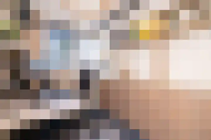 Bierbrouwershorst 609 Apeldoorn thumbnail 17