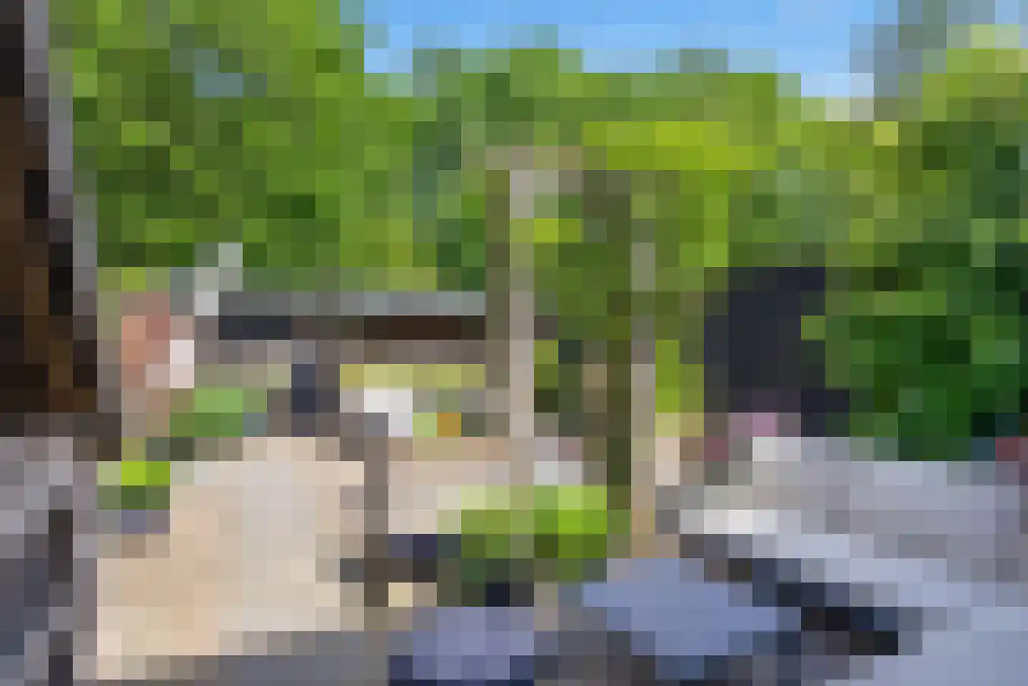 Bierbrouwershorst 610 Apeldoorn thumbnail 12