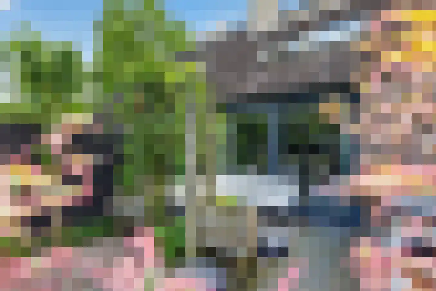 Bierbrouwershorst 610 Apeldoorn thumbnail 19