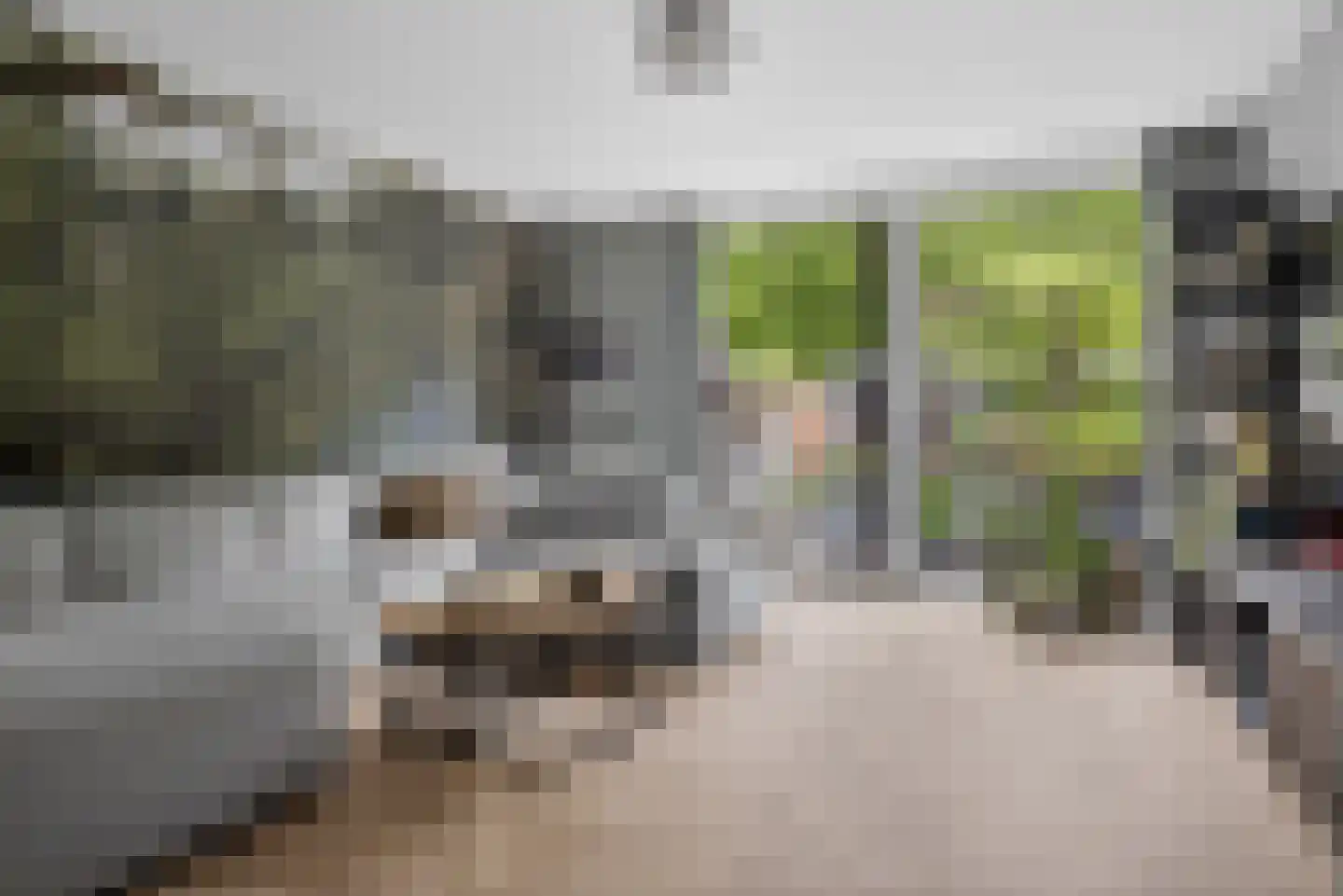 Bierbrouwershorst 610 Apeldoorn thumbnail 9