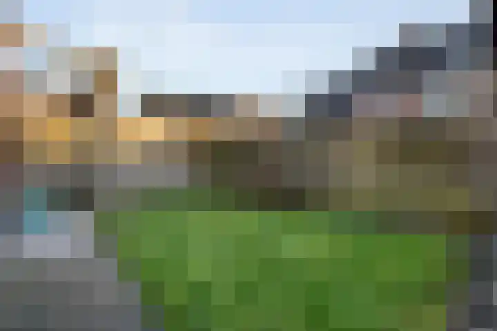 Bierbrouwerweg 18 Dalfsen thumbnail 38