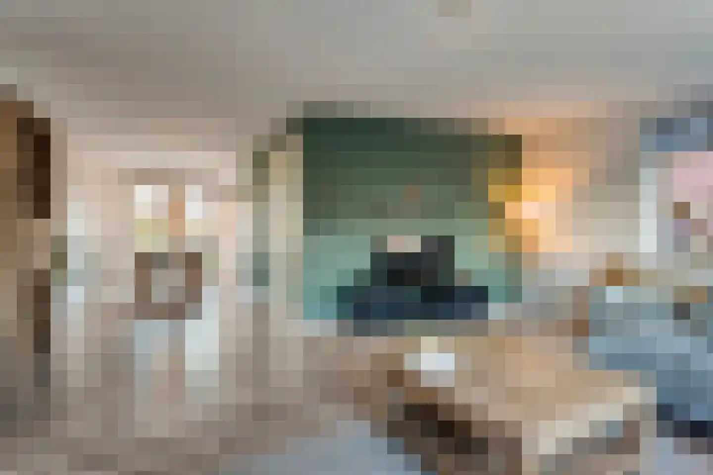Bierbrouwerweg 18 Dalfsen thumbnail 5