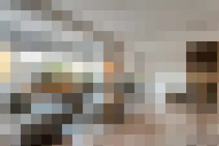 Bierbrouwerweg 18 Dalfsen thumbnail 6