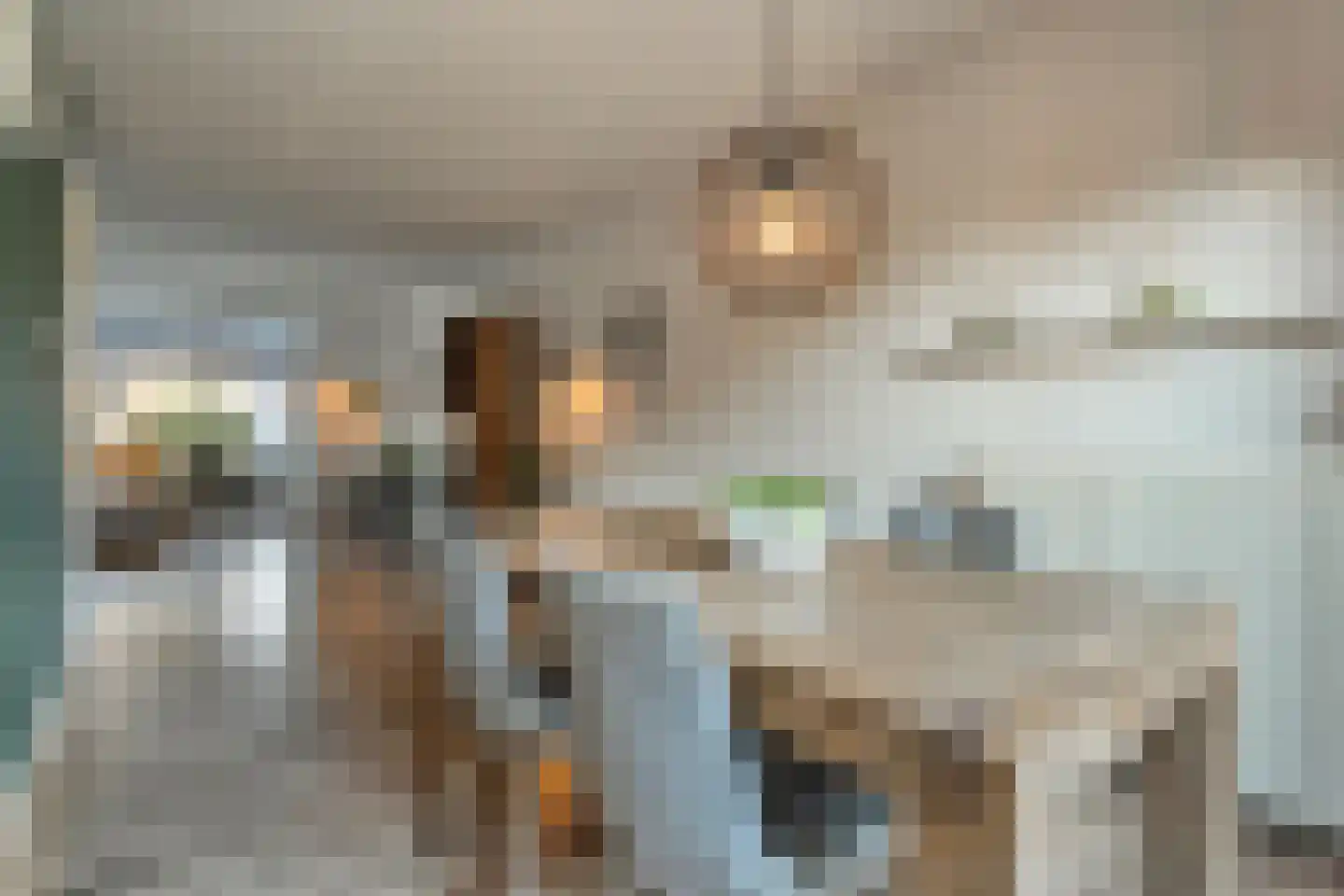 Bierbrouwerweg 18 Dalfsen thumbnail 8