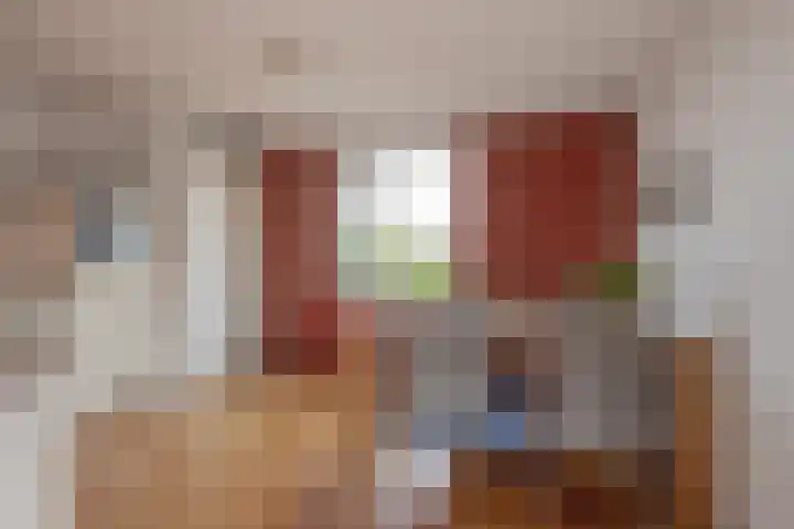 Bieremalaan 113 Den Haag thumbnail 10