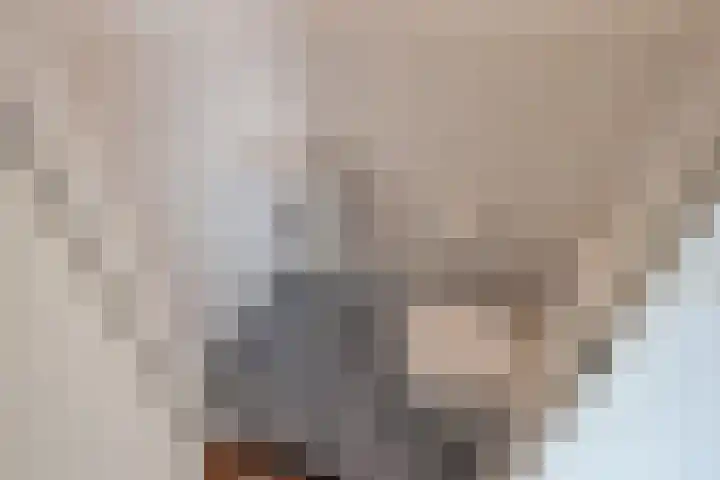 Bieremalaan 113 Den Haag thumbnail 12