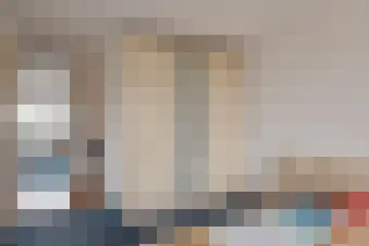Bieremalaan 113 Den Haag thumbnail 14