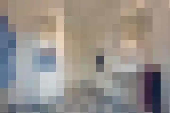 Bieremalaan 113 Den Haag thumbnail 16