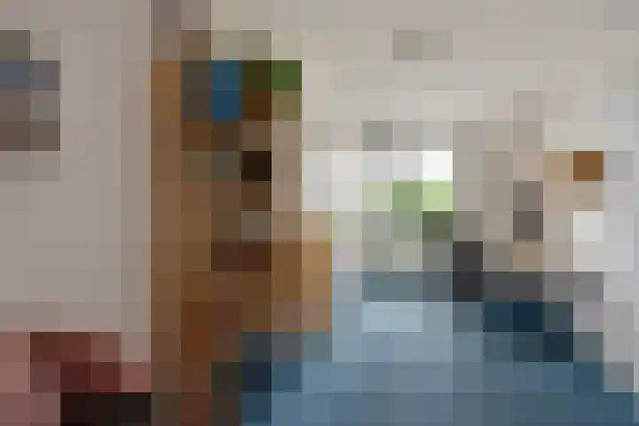 Bieremalaan 113 Den Haag thumbnail 18