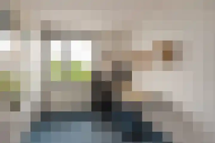 Bieremalaan 113 Den Haag thumbnail 19