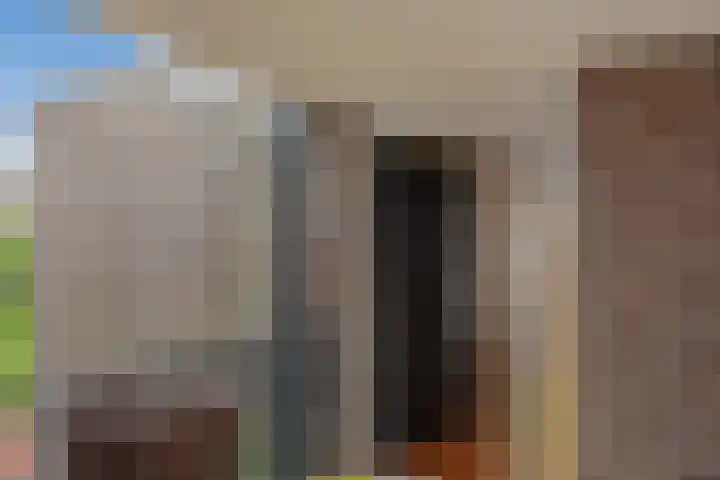 Bieremalaan 113 Den Haag thumbnail 21