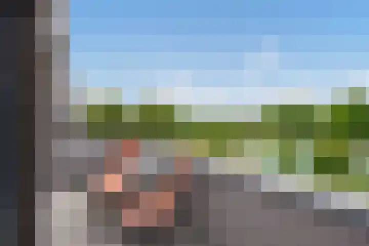 Bieremalaan 113 Den Haag thumbnail 22