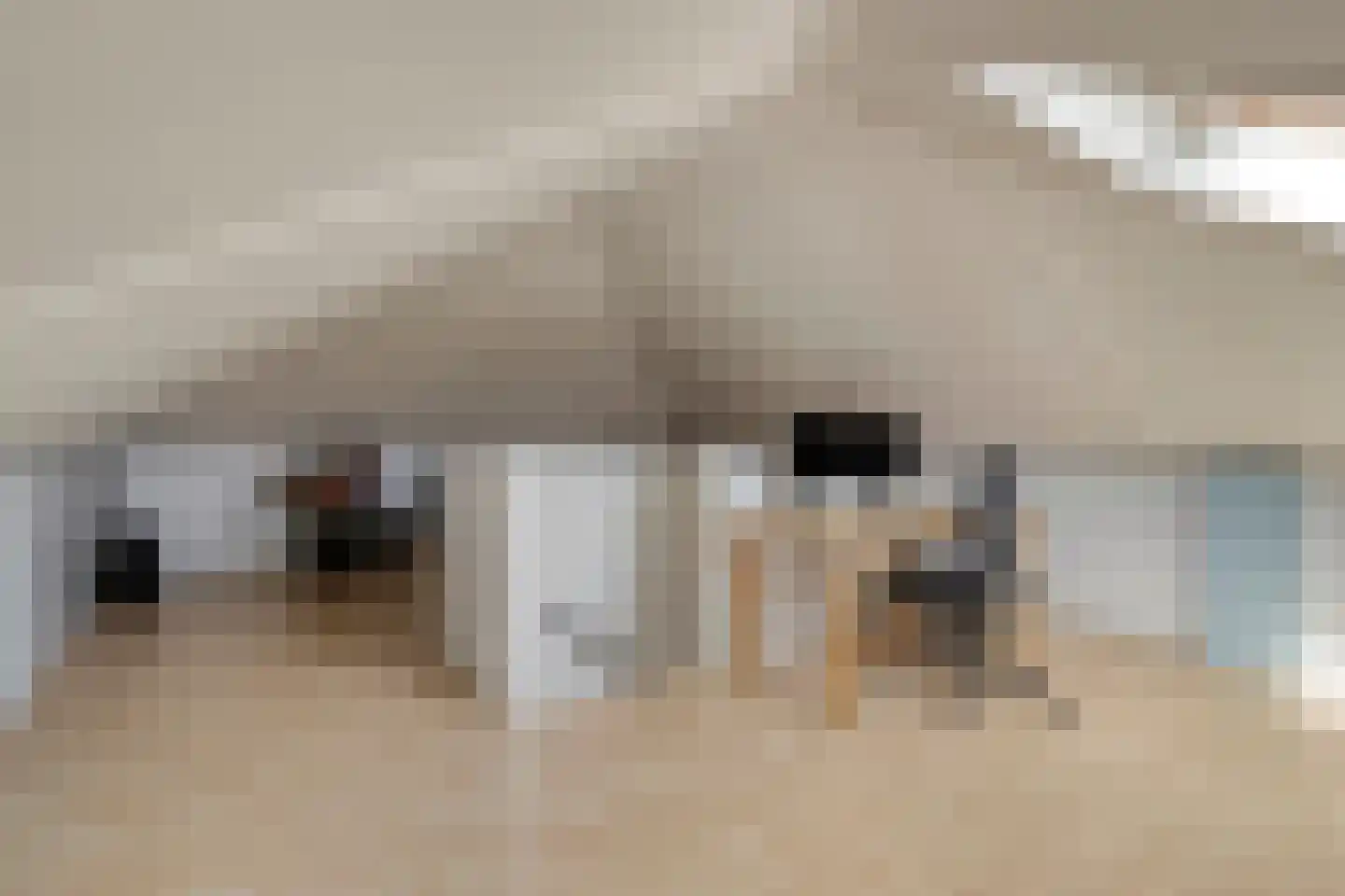 Bieremalaan 113 Den Haag thumbnail 24