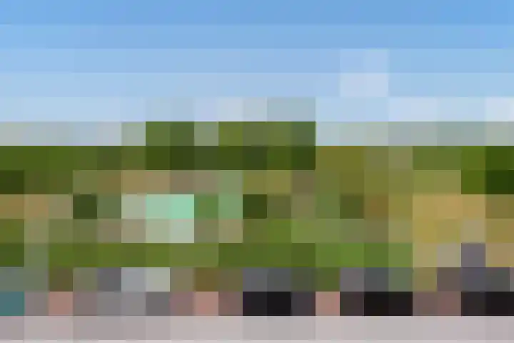 Bieremalaan 113 Den Haag thumbnail 24