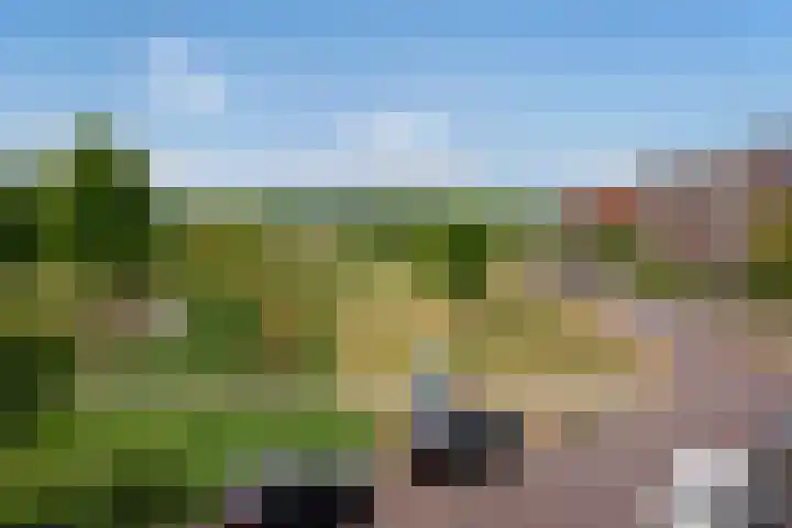 Bieremalaan 113 Den Haag thumbnail 25