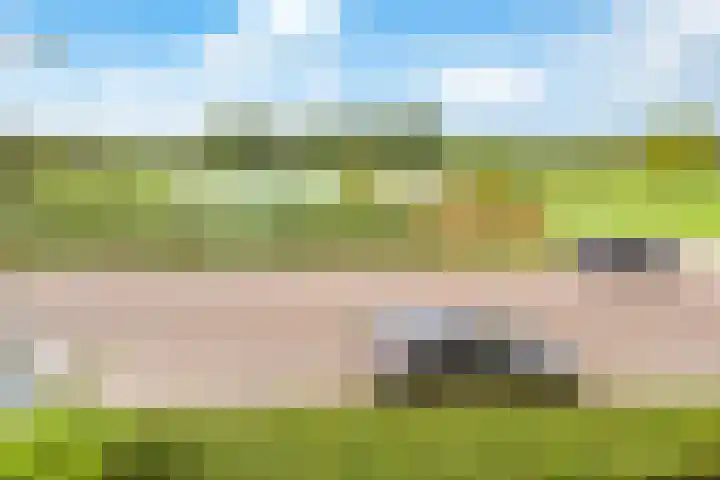 Bieremalaan 113 Den Haag thumbnail 26