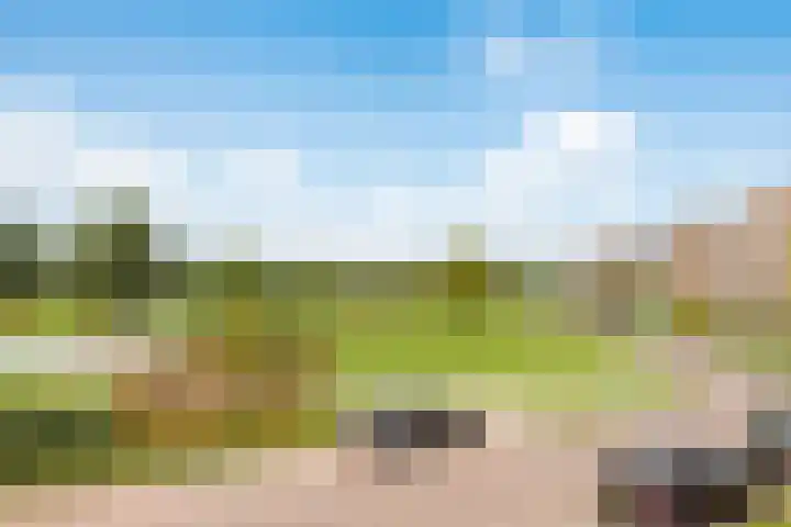 Bieremalaan 113 Den Haag thumbnail 27