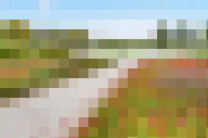 Bieremalaan 113 Den Haag thumbnail 28