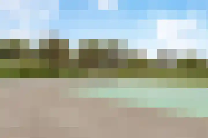 Bieremalaan 113 Den Haag thumbnail 29
