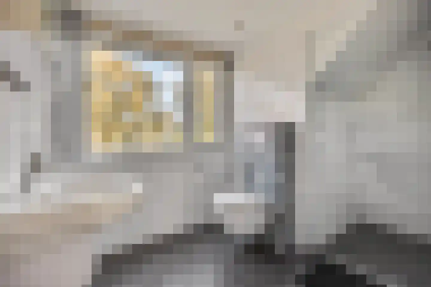Bieremalaan 113 Den Haag thumbnail 30