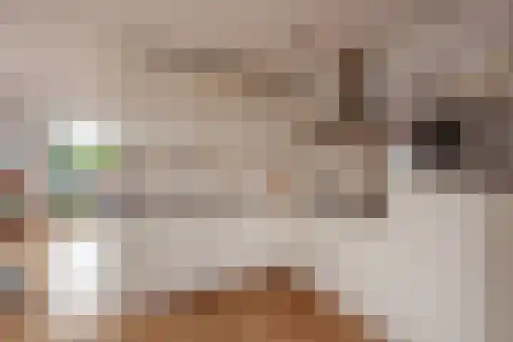 Bieremalaan 113 Den Haag thumbnail 4