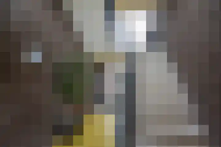 Bieremalaan 113 Den Haag thumbnail 5