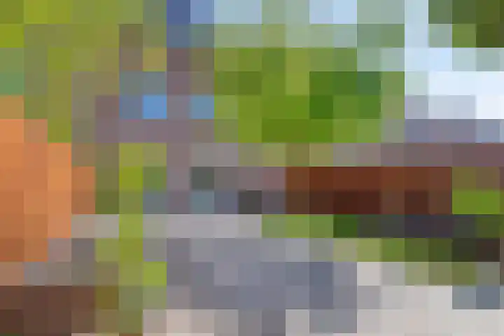 Bieremalaan 53 Den Haag thumbnail 10