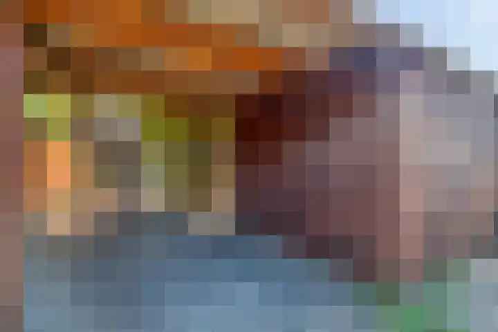 Bieremalaan 53 Den Haag thumbnail 11
