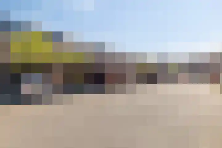 Bieremalaan 53 Den Haag thumbnail 12