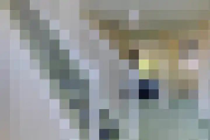 Bieremalaan 53 Den Haag thumbnail 14