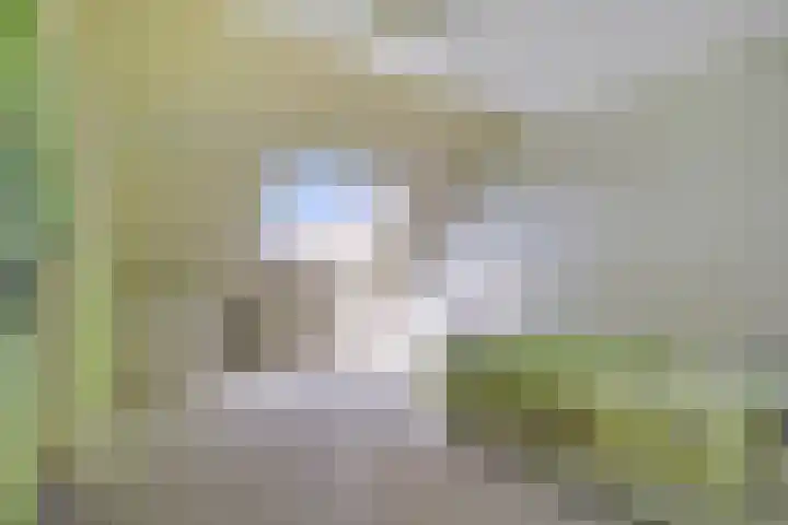 Bieremalaan 53 Den Haag thumbnail 25