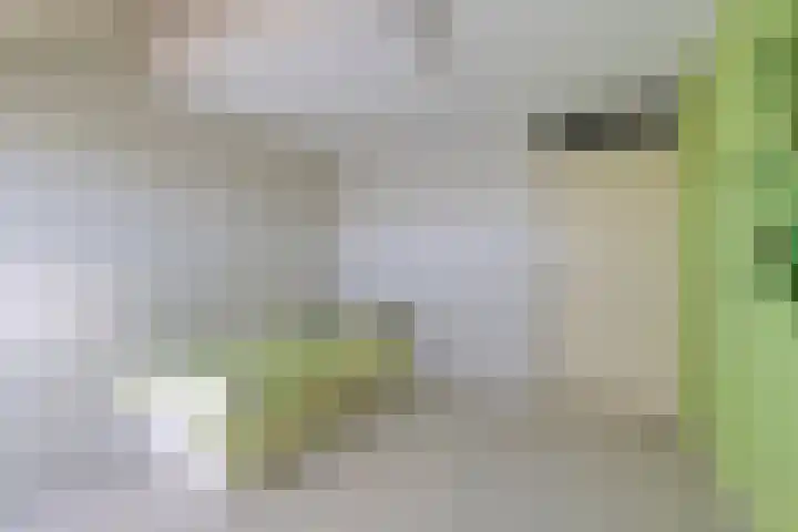 Bieremalaan 53 Den Haag thumbnail 26