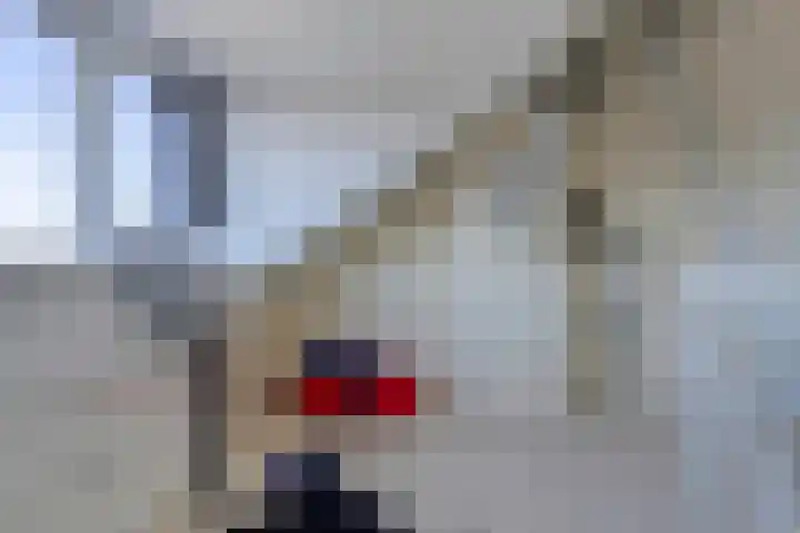 Bieremalaan 53 Den Haag thumbnail 31